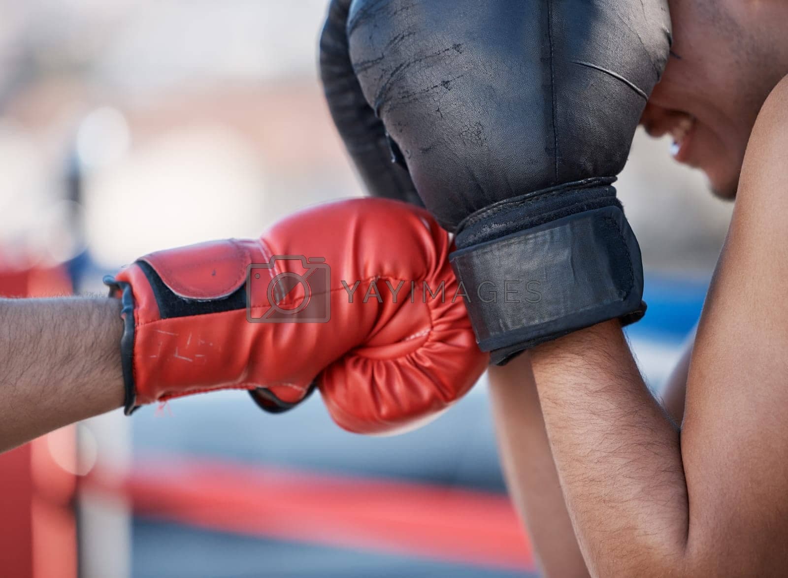 Hochwertige Boxhandschuhe online bestellen bei Justsports4you – Für Training und Wettkampf optimal ausgestattet