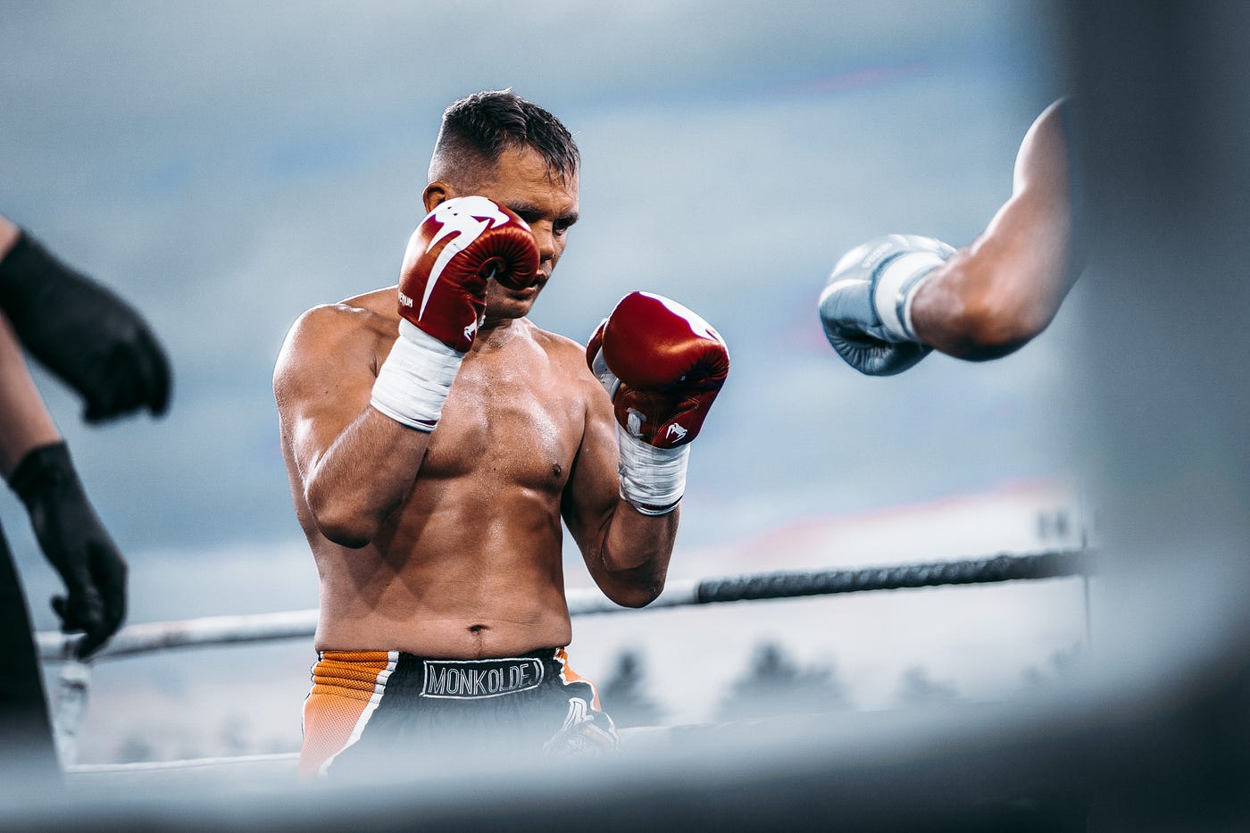 Hochwertige Boxhandschuhe online bestellen bei Justsports4you – Für Training und Wettkampf optimal ausgestattet